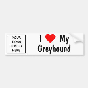 Greyhound Bumper Sticker
