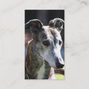 Greyhound business cards