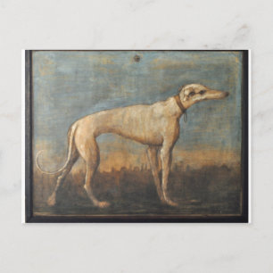 Greyhound by Giovanni Domenico Tiepolo Postcard