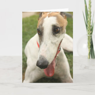 Greyhound Card