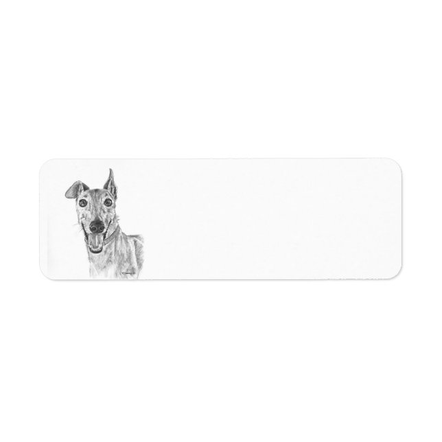 Greyhound Closeup Drawing (Front)