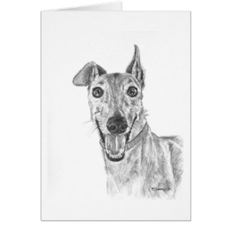 Greyhound Closeup Drawing