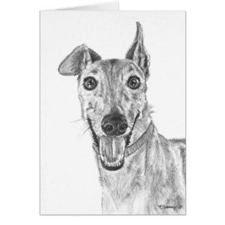 Greyhound Closeup Drawing