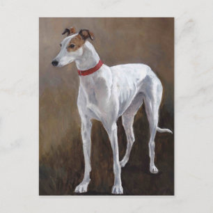 Greyhound Dog Art Postcard