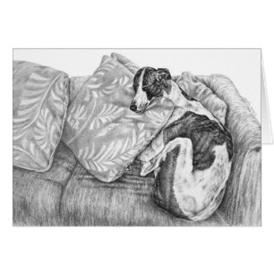 Greyhound Dog Drawing by Kelli Swan