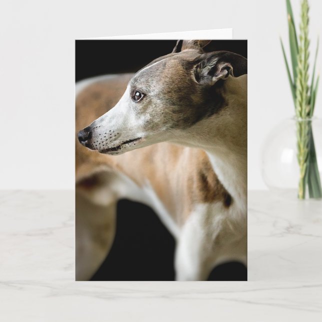 Greyhound Dog  Greeting Card (Front)