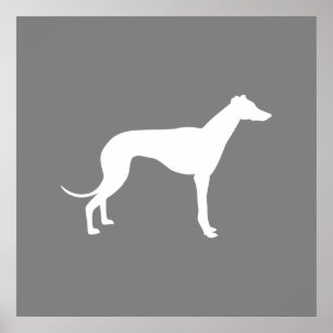 Greyhound Dog Poster