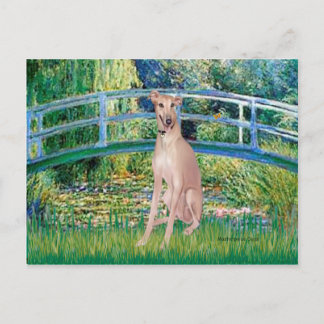 Greyhound (fawn 2) - Bridge Postcard