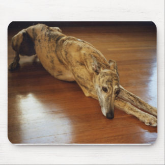 Greyhound Floor Work Mouse Pad