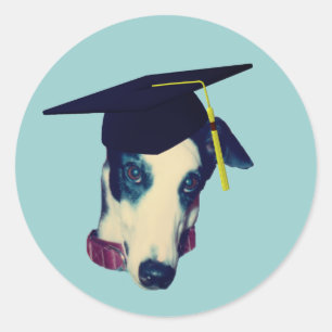 Greyhound Graduation Cap Funny  Classic Round Sticker