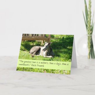 Greyhound Greeting Card