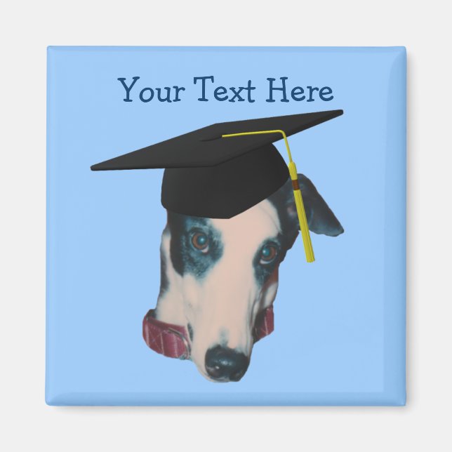 Greyhound In Graduation Cap Funny Dog Magnet (Front)