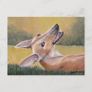 Greyhound in the Grass Dog Art Postcard