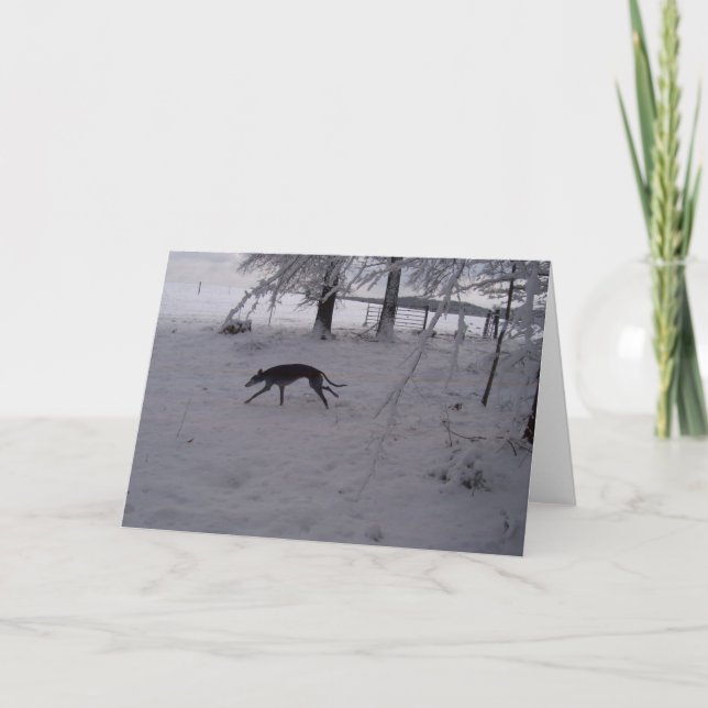 greyhound in the snow card (Front)