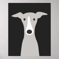 Greyhound  Italian Greyhound  Cute Whippet Dog 