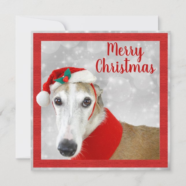 Greyhound Merry Christmas (Front)