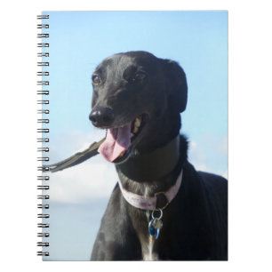 Greyhound notebook (P001)