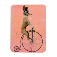 Greyhound on Black Penny Farthing