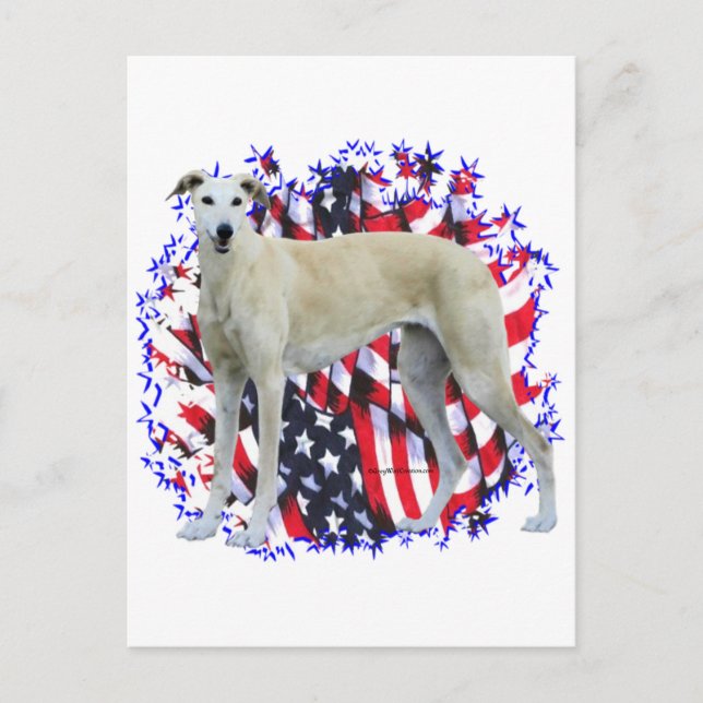 Greyhound Patriot Postcard (Front)