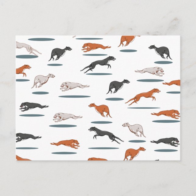 Greyhound Pattern Postcard (Front)