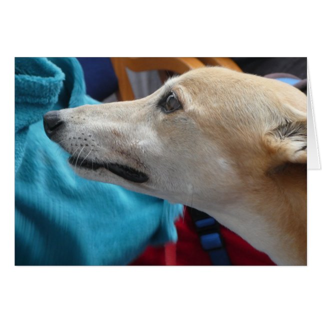 Greyhound photocard (Front Horizontal)