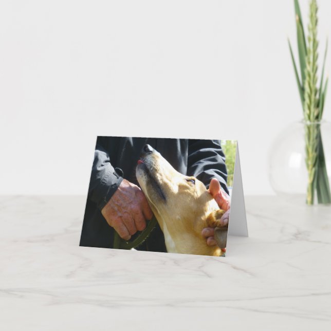 Greyhound photocard (p284) card (Front)