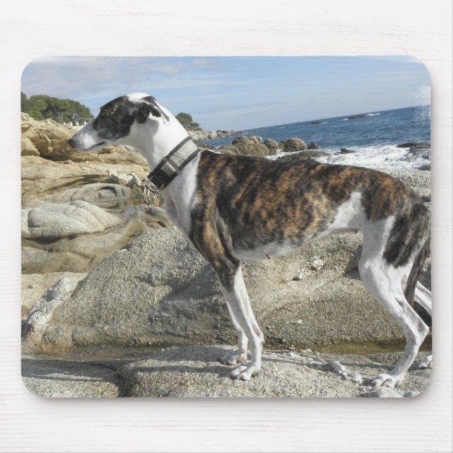 Greyhound Photographs Mouse Pad (Front)