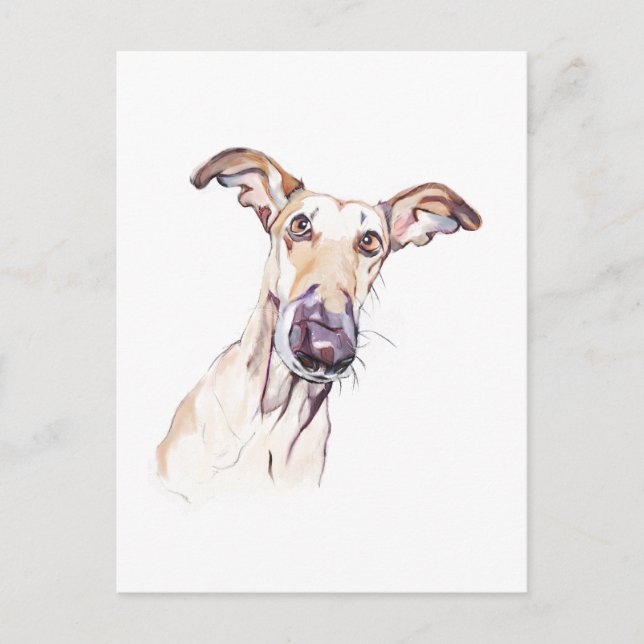 Greyhound Postcard, Dog Illustration Postcard (Front)
