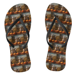 Greyhound Puppy Autumn Delight Pumpkin Jandals