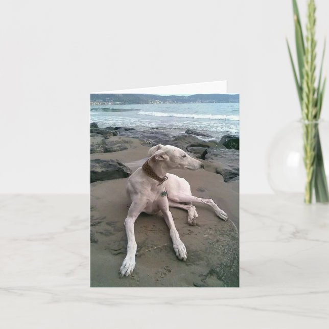 Greyhound Puppy Dog Blank Note Card (Front)