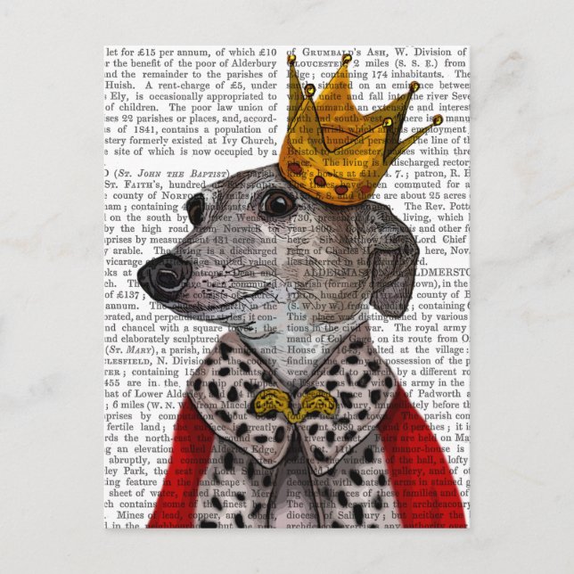 Greyhound Queen Postcard (Front)