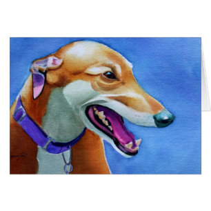 Greyhound Rescue