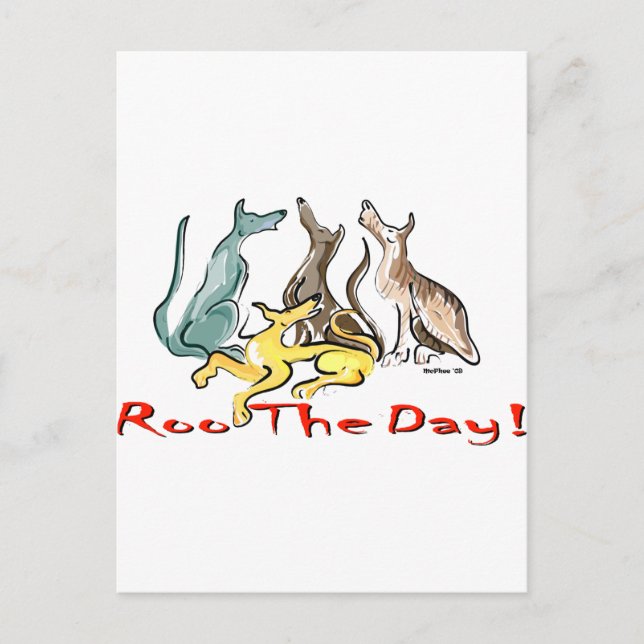 greyhound roo postcard (Front)