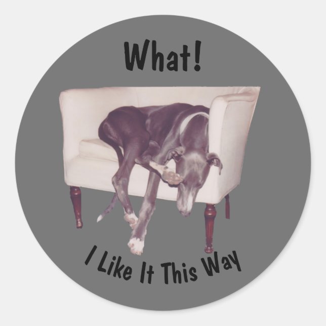 Greyhound Sleeping In Chair Funny Classic Round Sticker (Front)