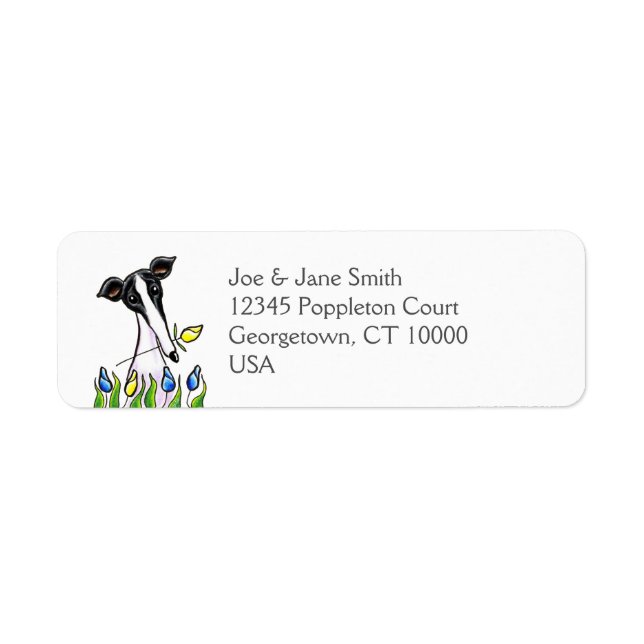 Greyhound Sweetheart White (Front)