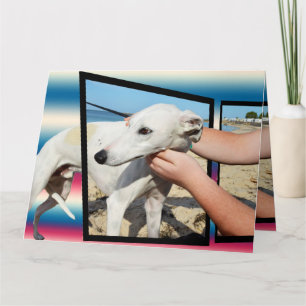 Greyhound Three Dimensional Big Greeting Card