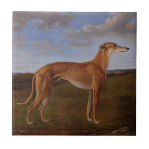 Greyhound Tile