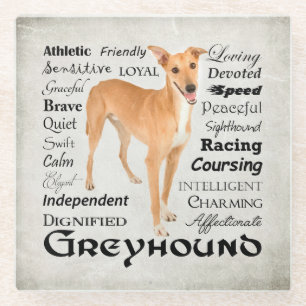 Greyhound Traits Glass Coaster