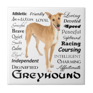 Greyhound Traits Tile