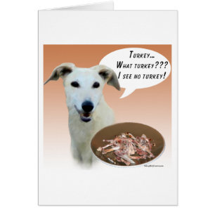 Greyhound Turkey