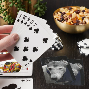 Greyhound winking (p440) playing cards