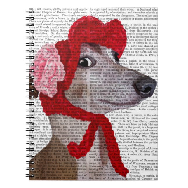 Greyhound with Red Woolly Hat 2 Spiral Notebook (Front)