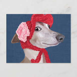 Greyhound with Red Woolly Hat Postcard
