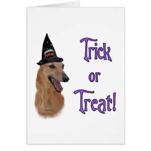 GreyhoundredTrick