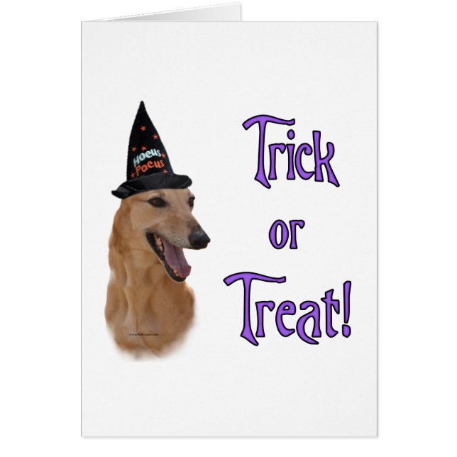 GreyhoundredTrick (Front)