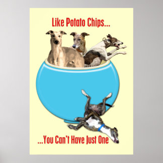 Greyhounds Like Potato Chips Poster