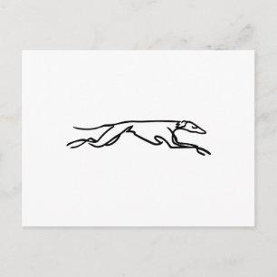 Greyhounds Postcard