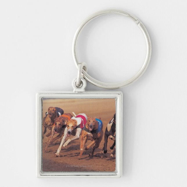 Greyhounds racing on track key ring (Front)