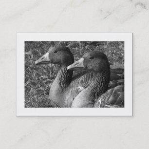 Greylag Geese B&W (Bordered) Business Card