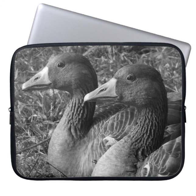 Greylag Geese (B&W) Laptop Sleeve (Front)